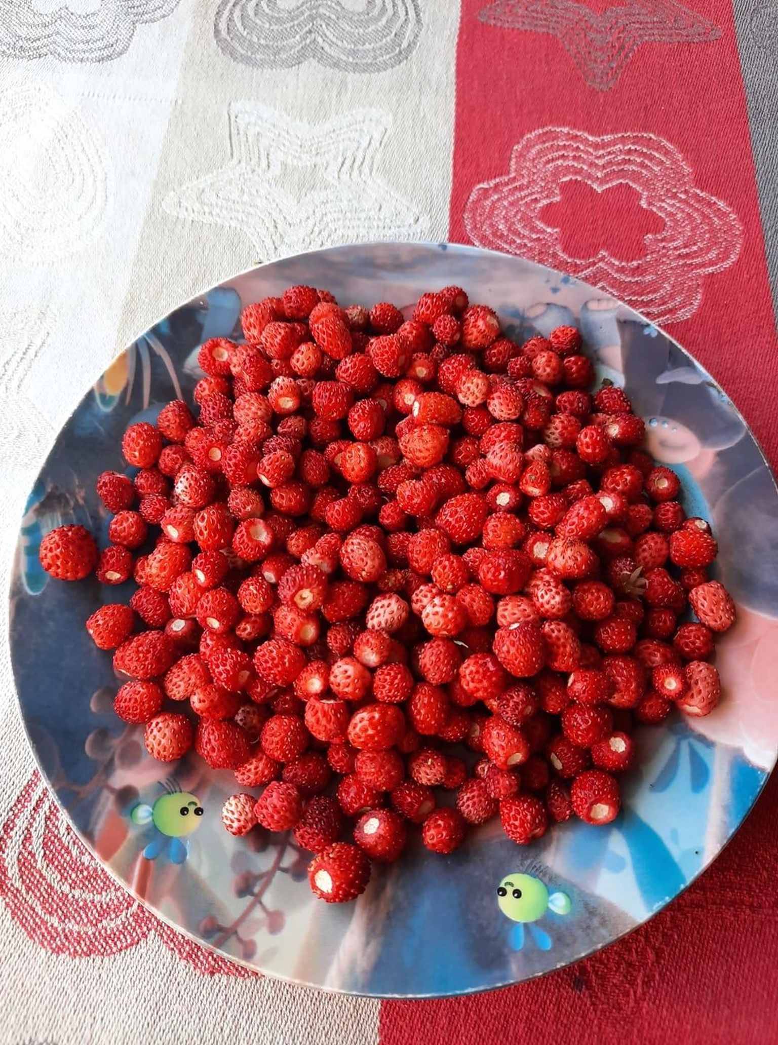 Metsmaasikad