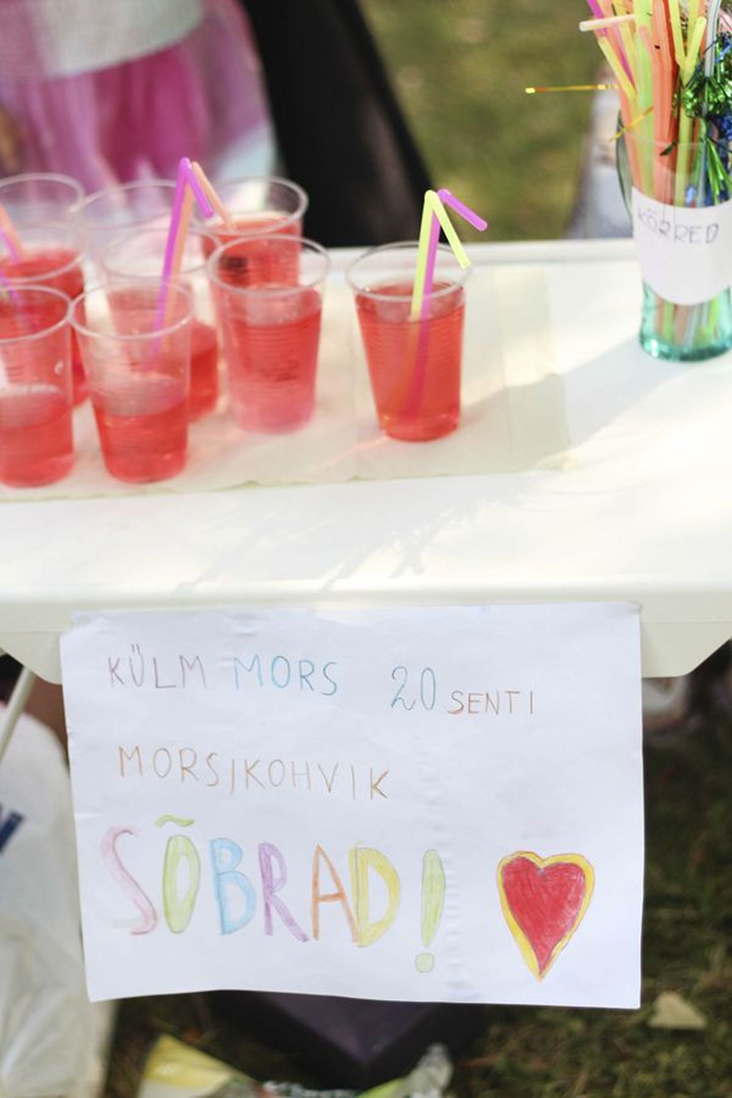 Kolm ettevõtlikku tüdrukut panid Viljandis Männimäel püsti morsiäri.