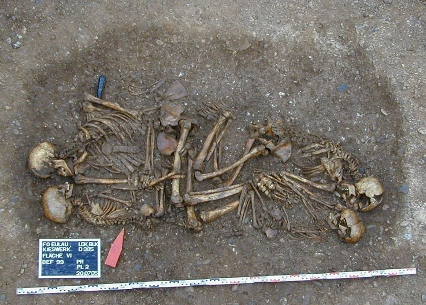 Saksamaalt Eulaust leitud 4600 aasta vanuste inimjäänuste puhul võib tegemist olla varajase tuumikperekonnaga. Isa, ema ja kaks last surid vägivaldsesse surma