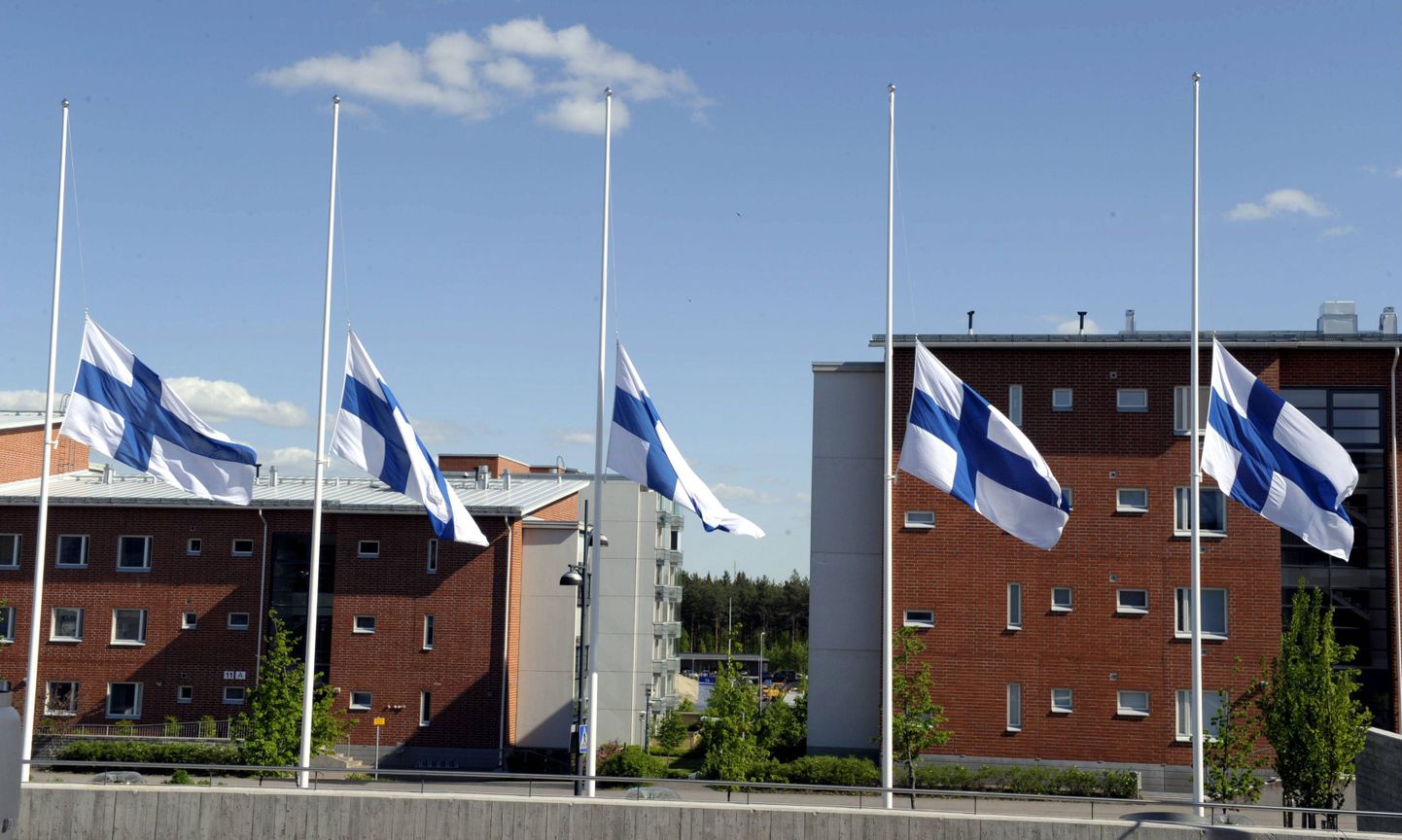 Soome lipud pooles mastis.