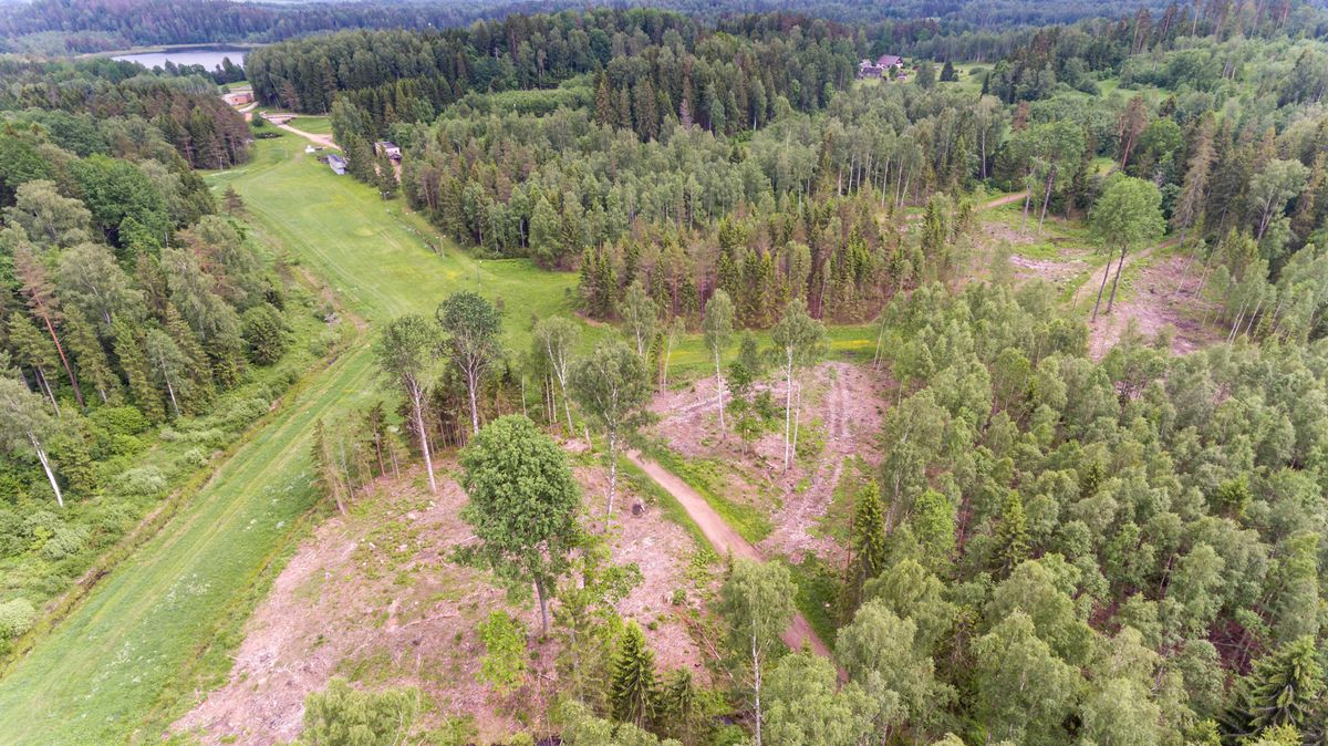 Raiutud metsaalad matkaraja alguses, Kekkose suusastaadioni lähedal.