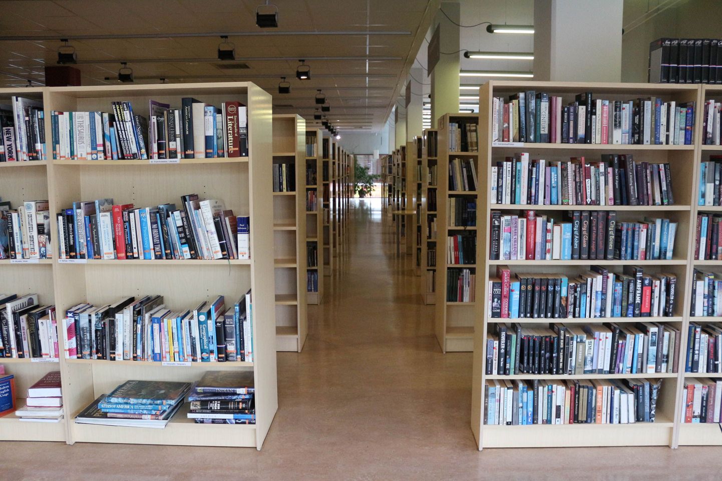 Библиотека. Фото иллюстративное