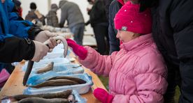Kalasadamate avamine pani suu vett jooksma rahvuskalast roogade järele