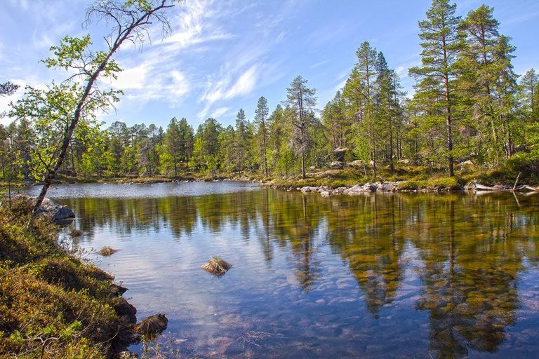 Üks tuhandest Soome järvest.