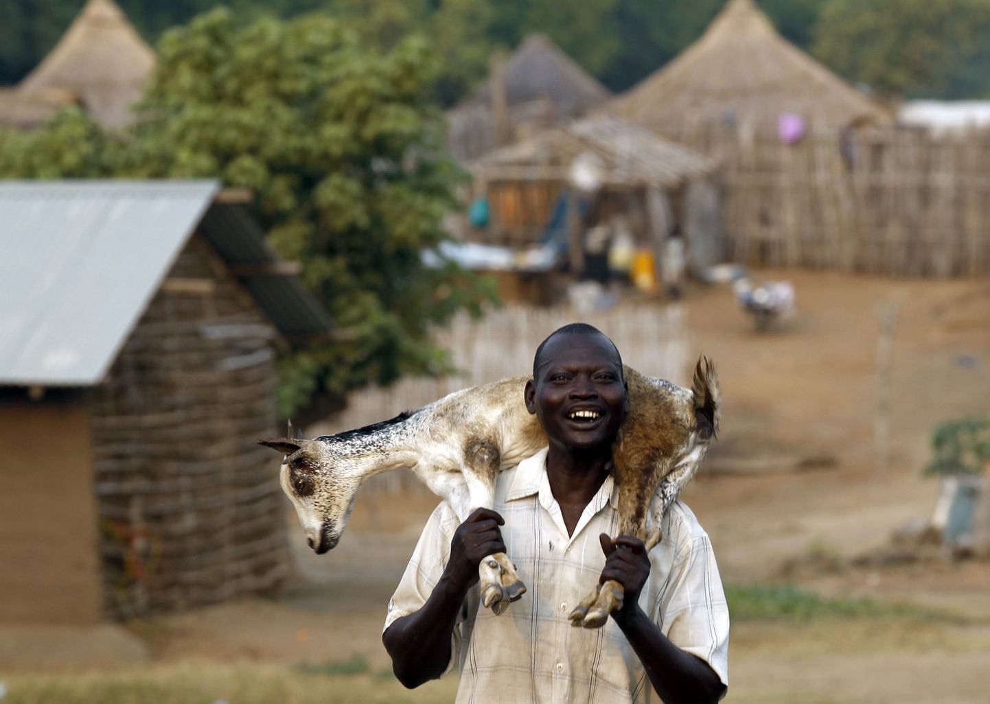 Житель самой молодой в мире столицы — Джубы идет на рынок продавать козу.