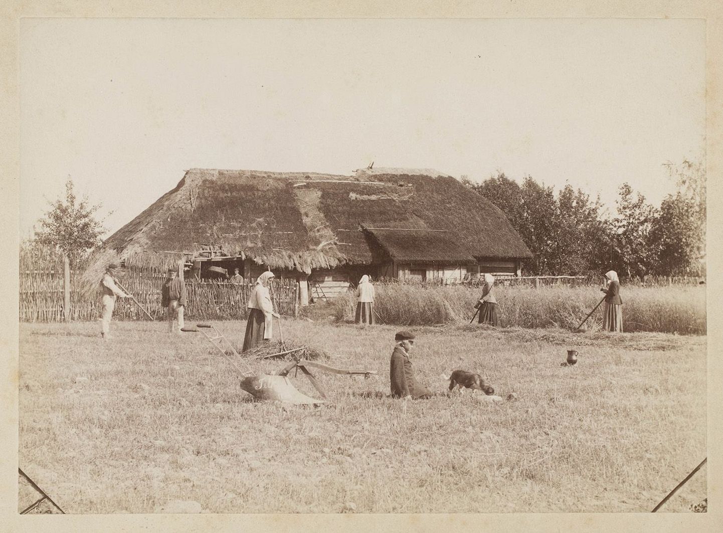 Talutööd Kolmetarga talus Randivälja külas, 1887.