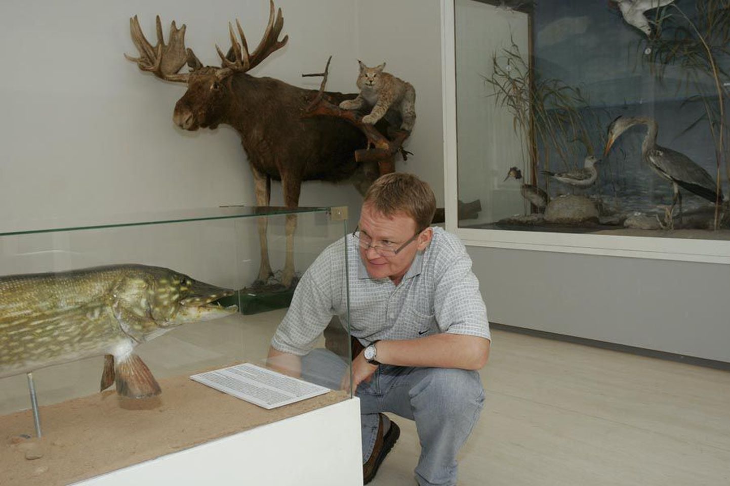 iljandi muuseumi kauaaegse direktori Jaak Pihlaku meelest peaks siinne muuseum jätkama Viljandimaa koduloo uurimist ja talletamist ning nišimuuseumiks muutumist tema ei poolda.