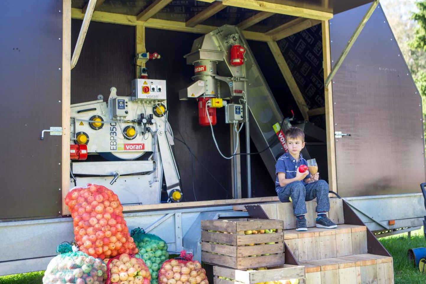Leisis peagi startiv õunamahla tootmine on ehitatud auto treilerile, et mahla pressida seal, kus parasjagu vaja. Pildil proovib oma tarbeks pressitud mahla perepoeg Risto Nurk.