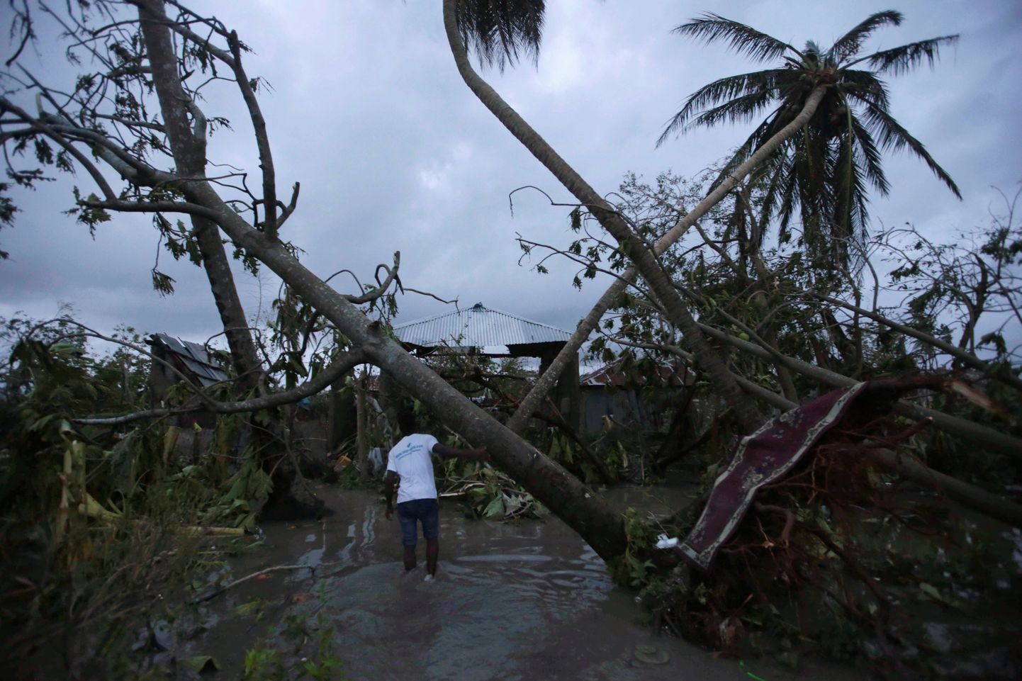 Последствия урагана на Гаити.