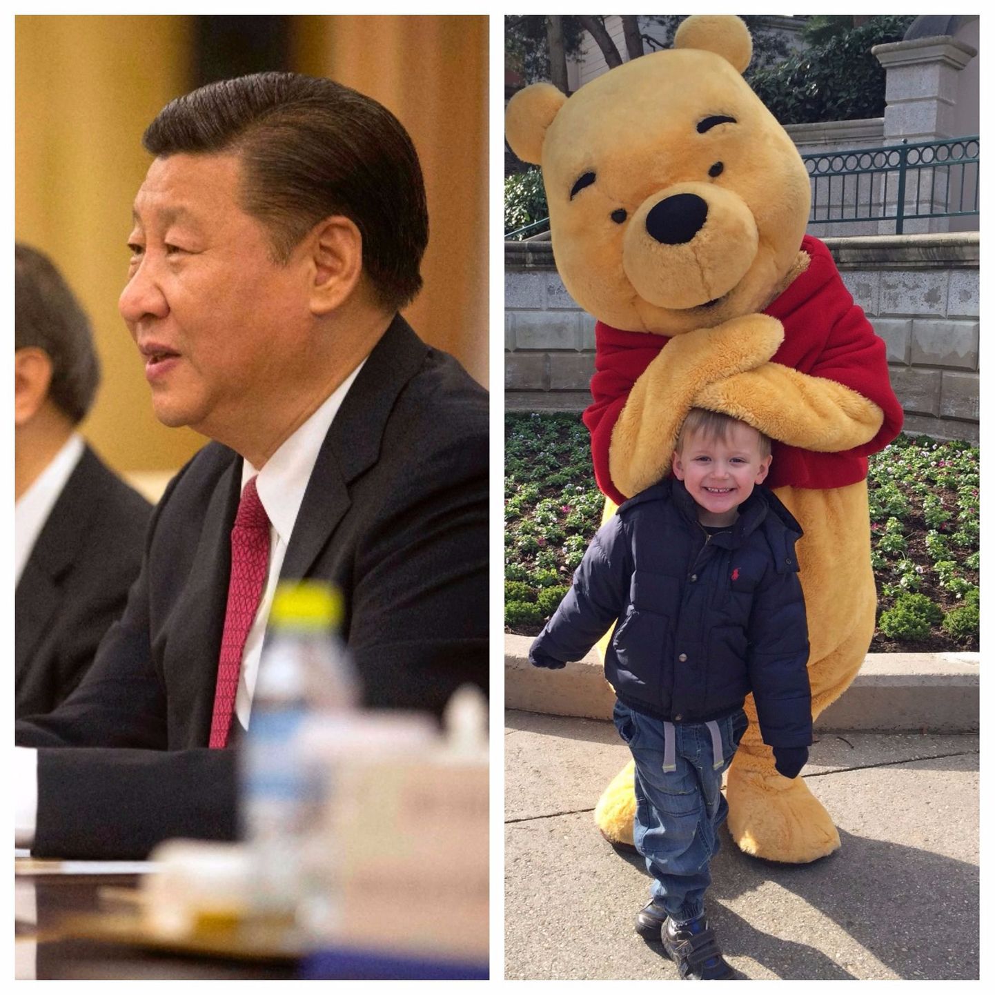Vasakul Hiina president Xi Jinping ja paremal lasteraamatu tegelane karupoeg Puhh.