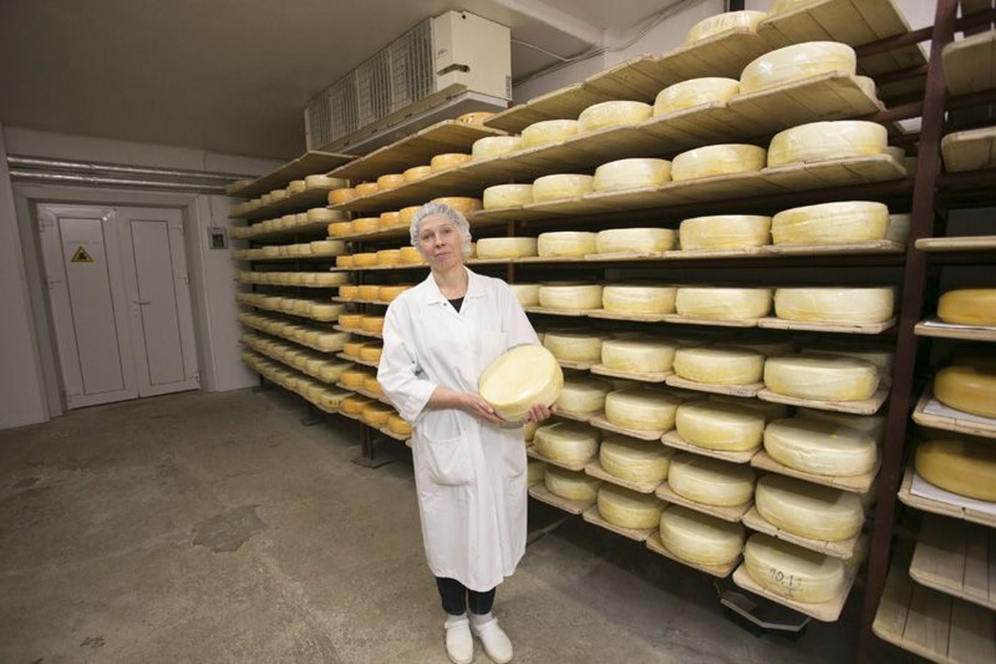 Et juust saaks õige meki, peab see Mare Raja sõnul juustukeldris valmima õigel temperatuuril ja õige aja.