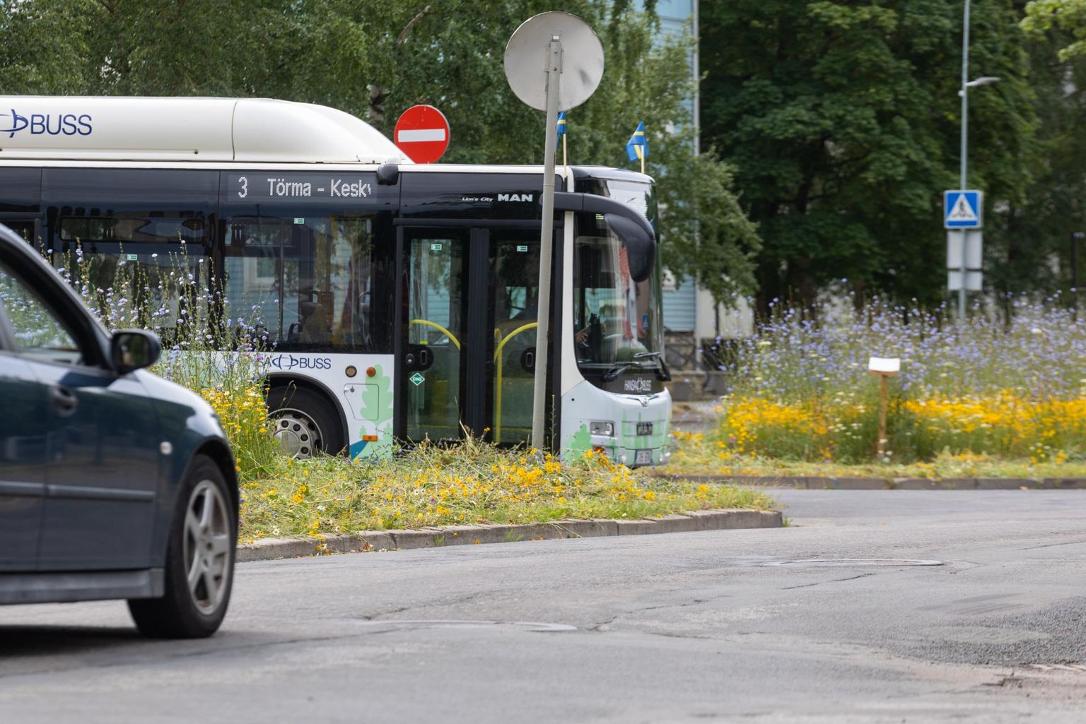 Vaatevälja piiranud taimed on tänaseks maha niidetud.