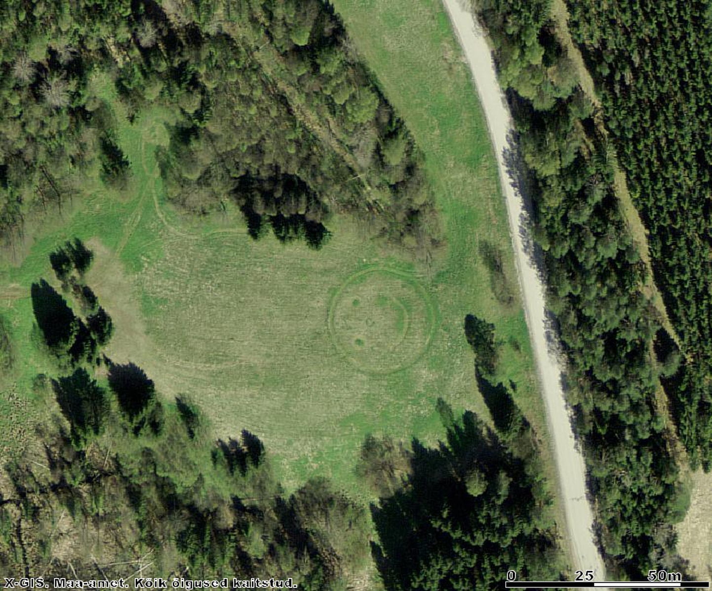 Смайлик (диаметр 30 метров), нарисованный в поле вблизи Отепя.