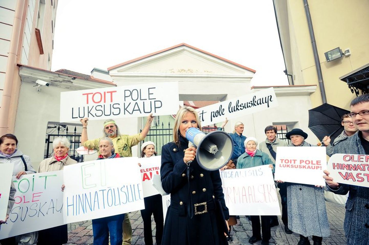 Эстонские пенсионеры во главе с Катрин Сиска митингуют на Тоомпеа против роста цен