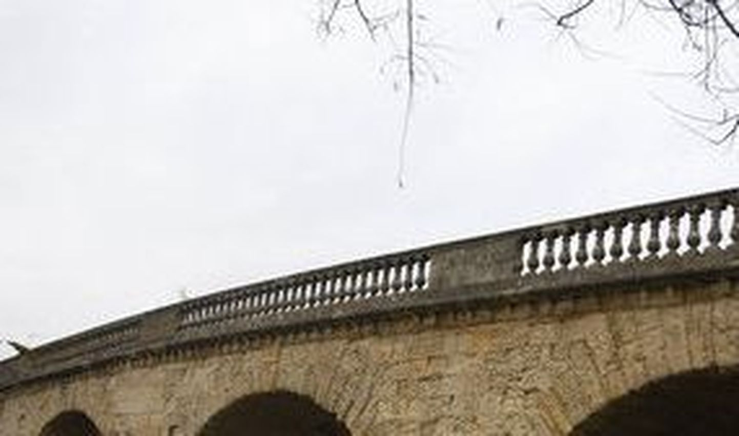 Loomapiinajast leedulane viskas koera sillalt alla