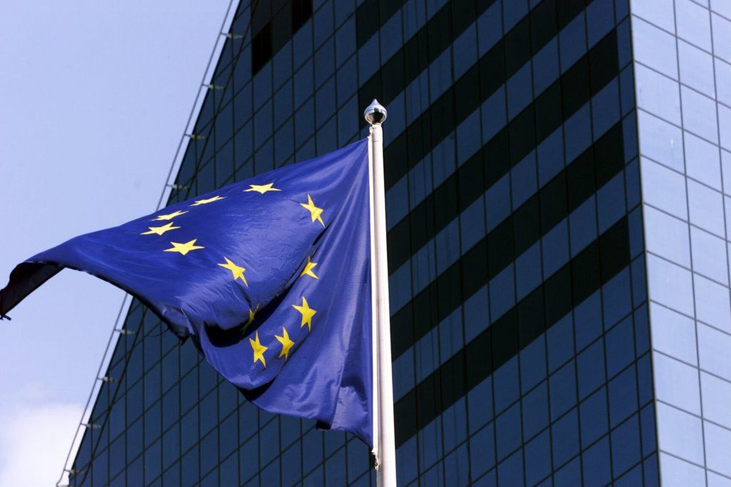 Euroliidu lipp. Riik on viimastel aastatel juurde palganud neid ametnikke, kes on vajalikud Euroopa Liidu otsustusprotsessis osalemiseks pärast Eesti ühinemist ELiga 2004. aastal.