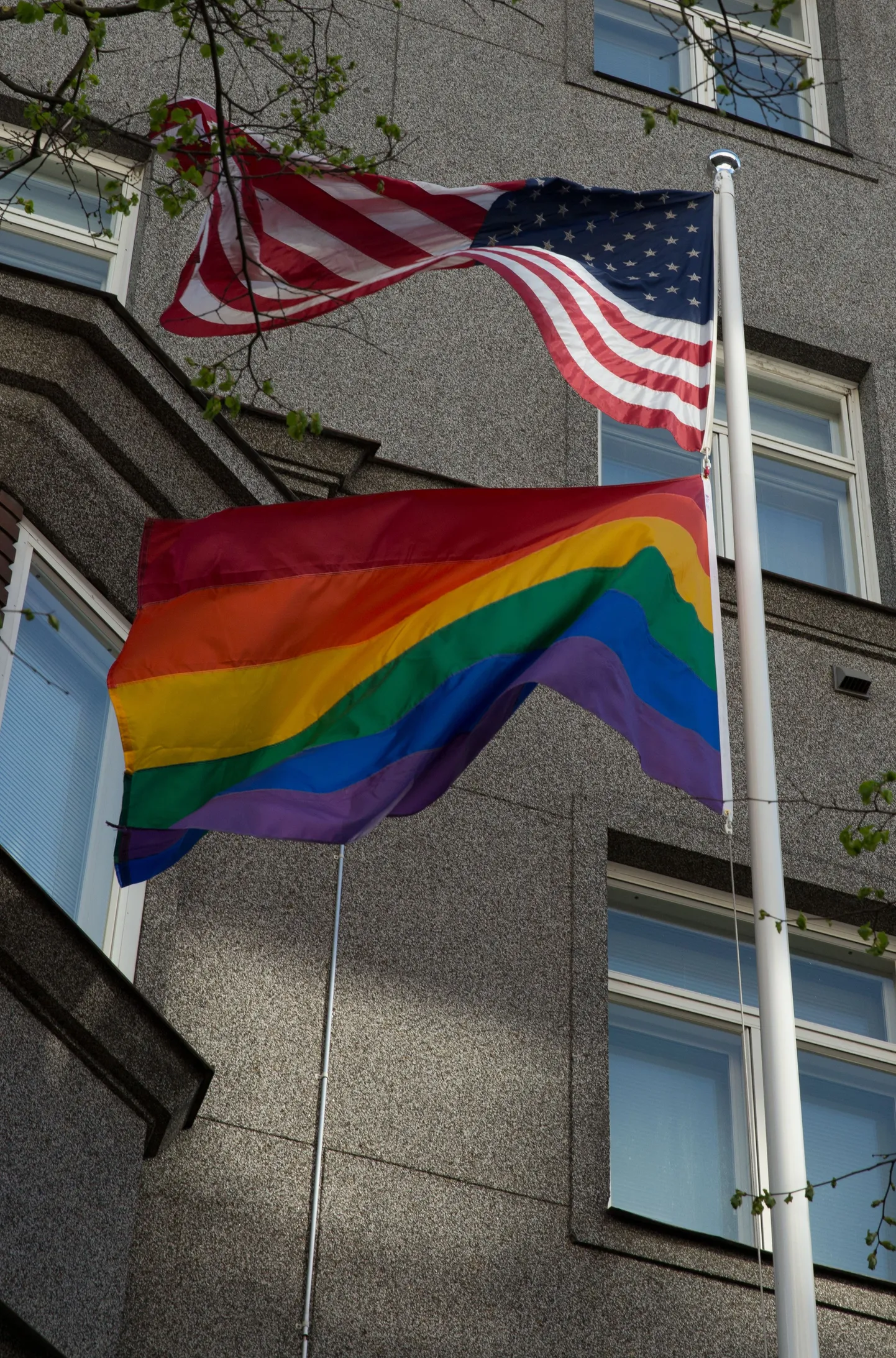 Tänase homofoobiavastase päeva puhul heiskas USA saatkond Tallinnas vikerkaarevärvilise lipu.