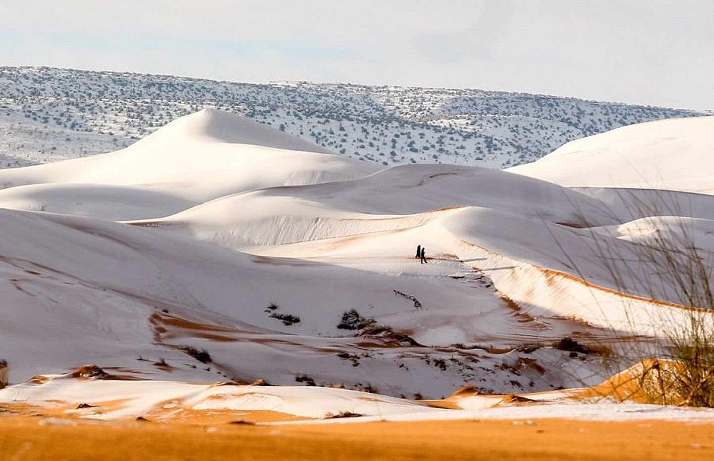 Lumi Sahara kõrbes