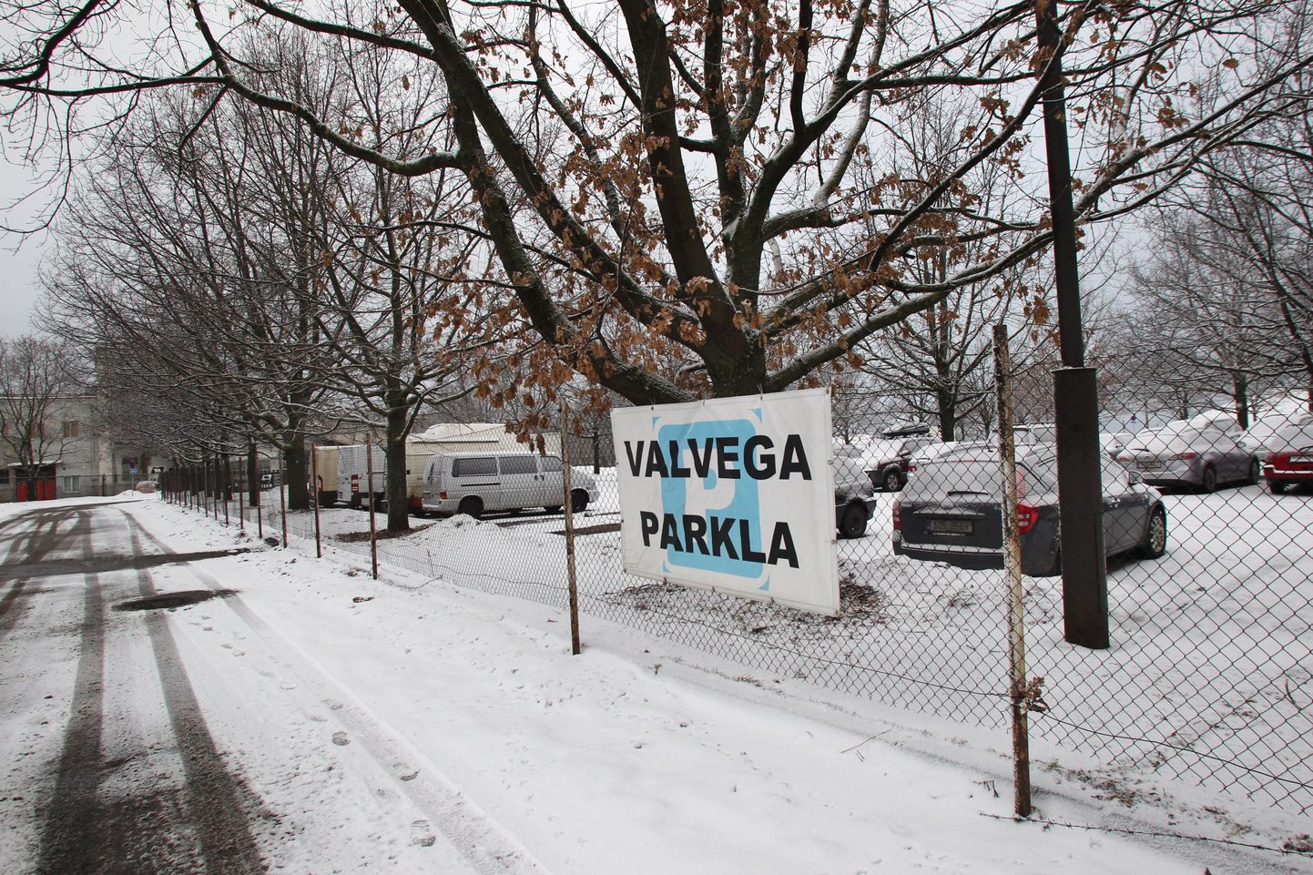 Linnahalli kõrval olevat parklat kasutavad peamiselt need, kes laevaga Soome tööle lähevad ning auto nädalaks või paariks sinna jätavad.