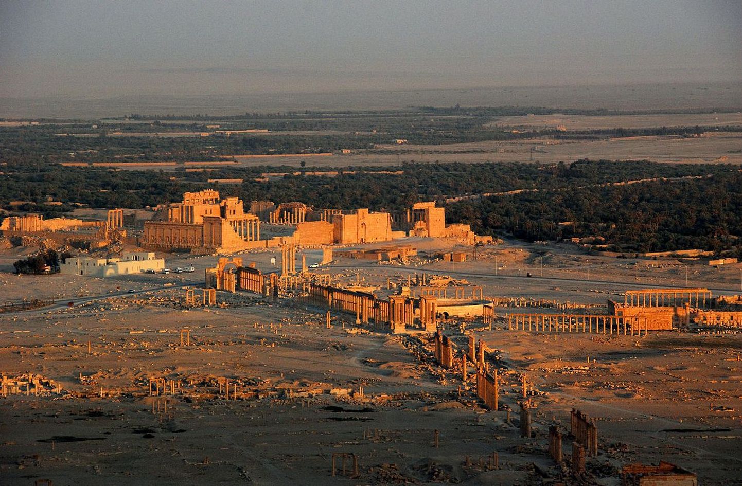 Palmyra panoraamvaade