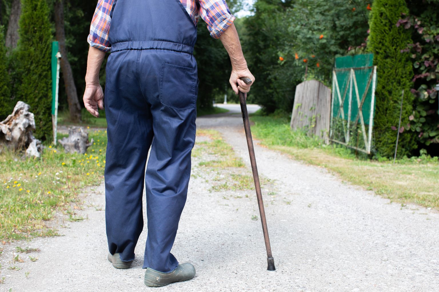 Pensionär.
