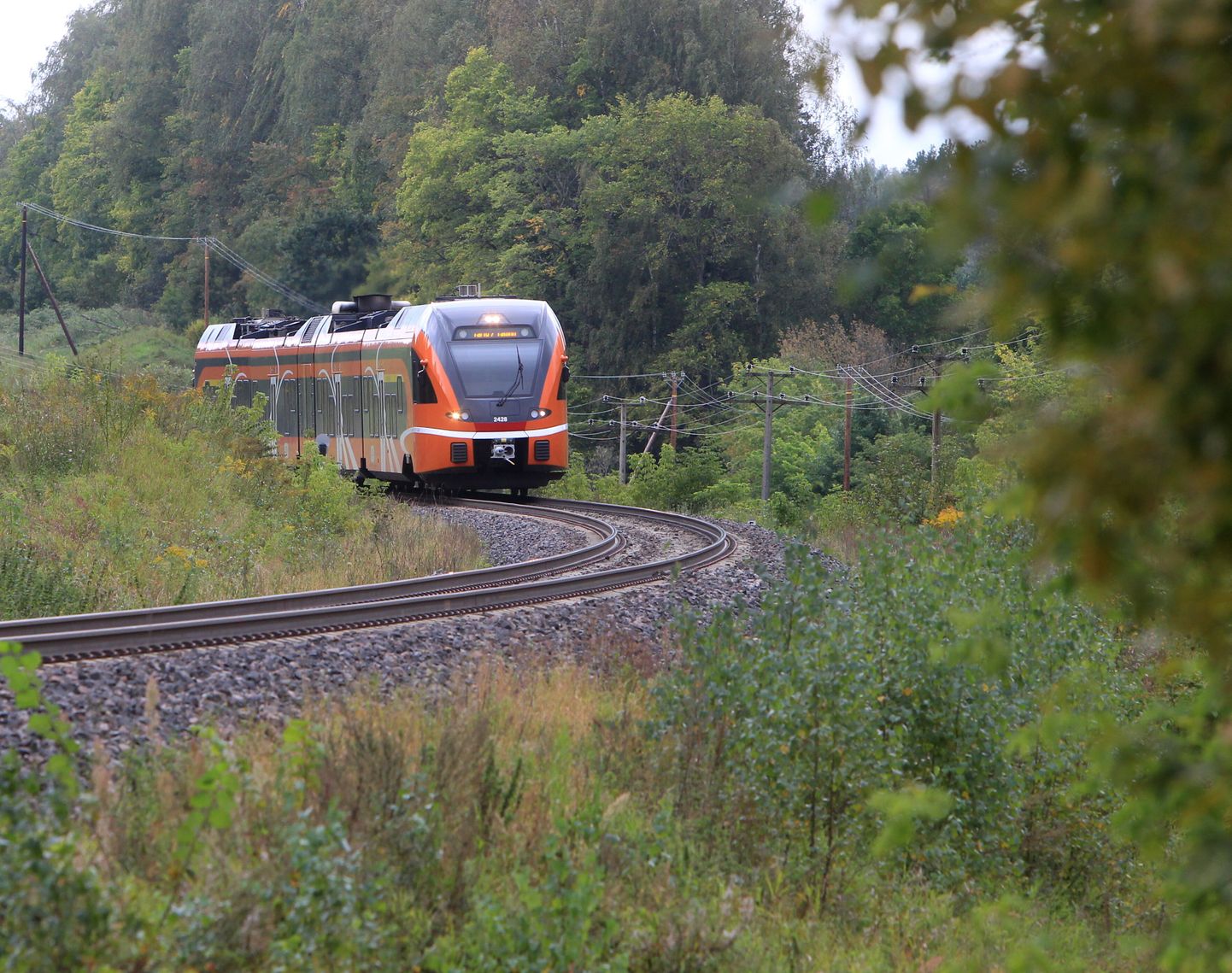 Narva-Tallinn rongis toimus reisijate vahel sõnelus.