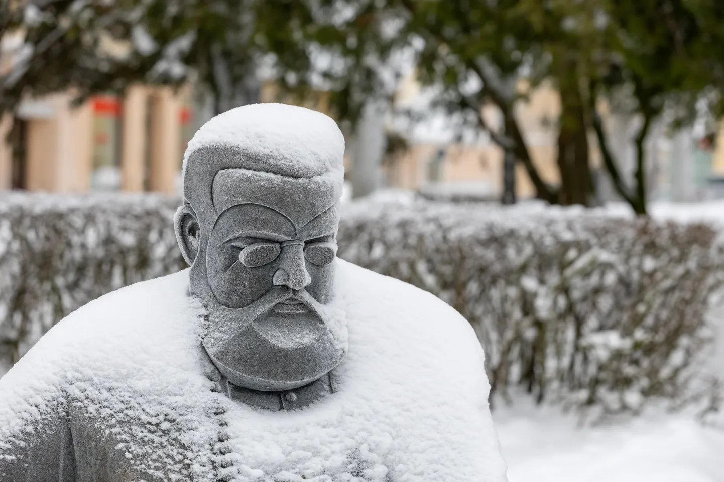 Снег в Вильянди.