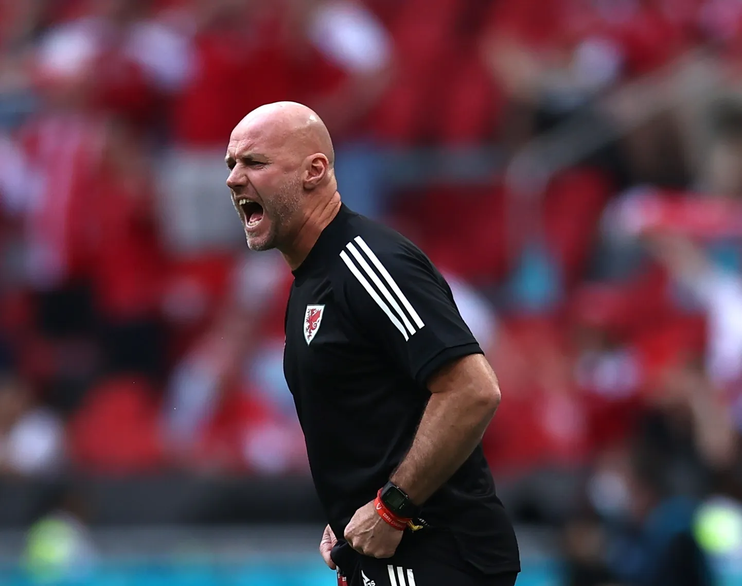Rob Page.