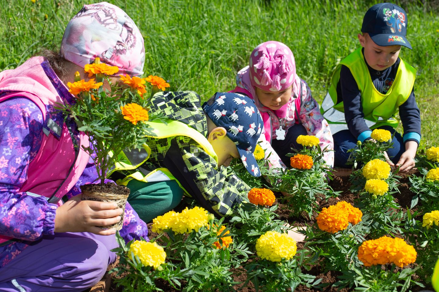 Посаженные детьми яркие цветы притягивают взгляды всех приезжающих в Кохтла-Нымме.