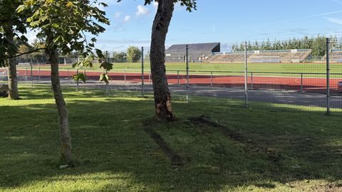 Bemm rammis Staadioni tänaval puud