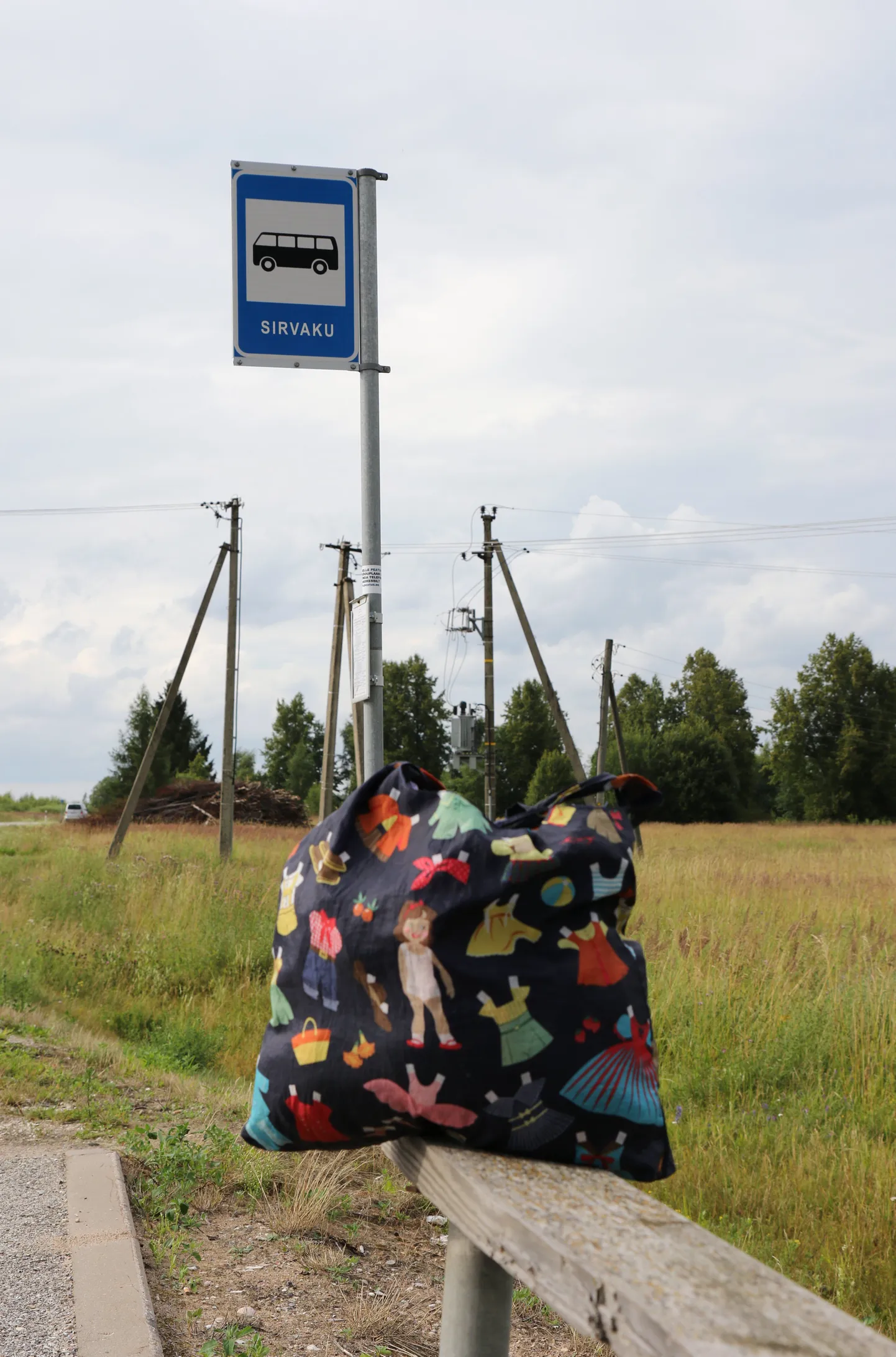 Bussifirmad ei taha väikestes kohtades peatuda.