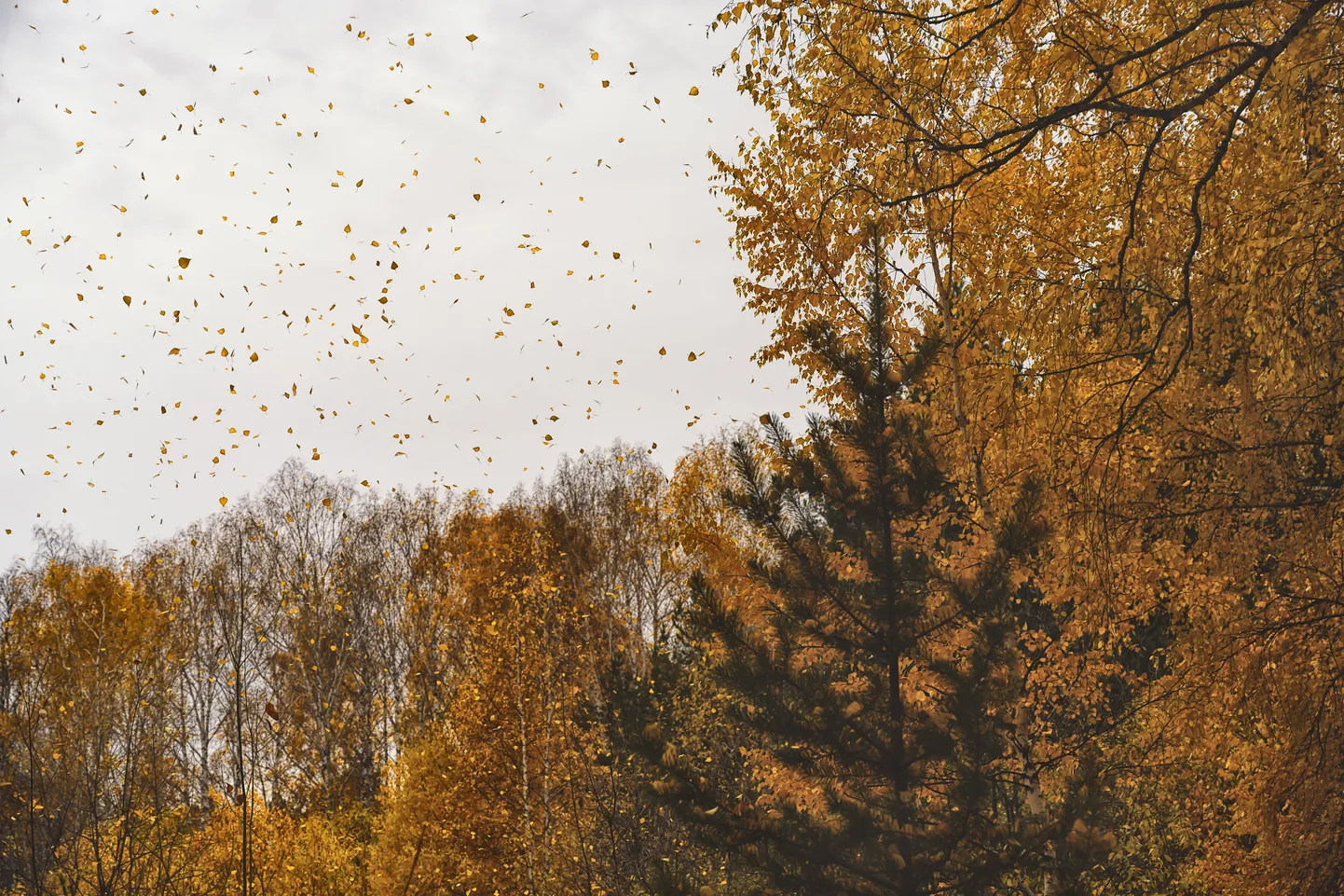 Осенняя погода