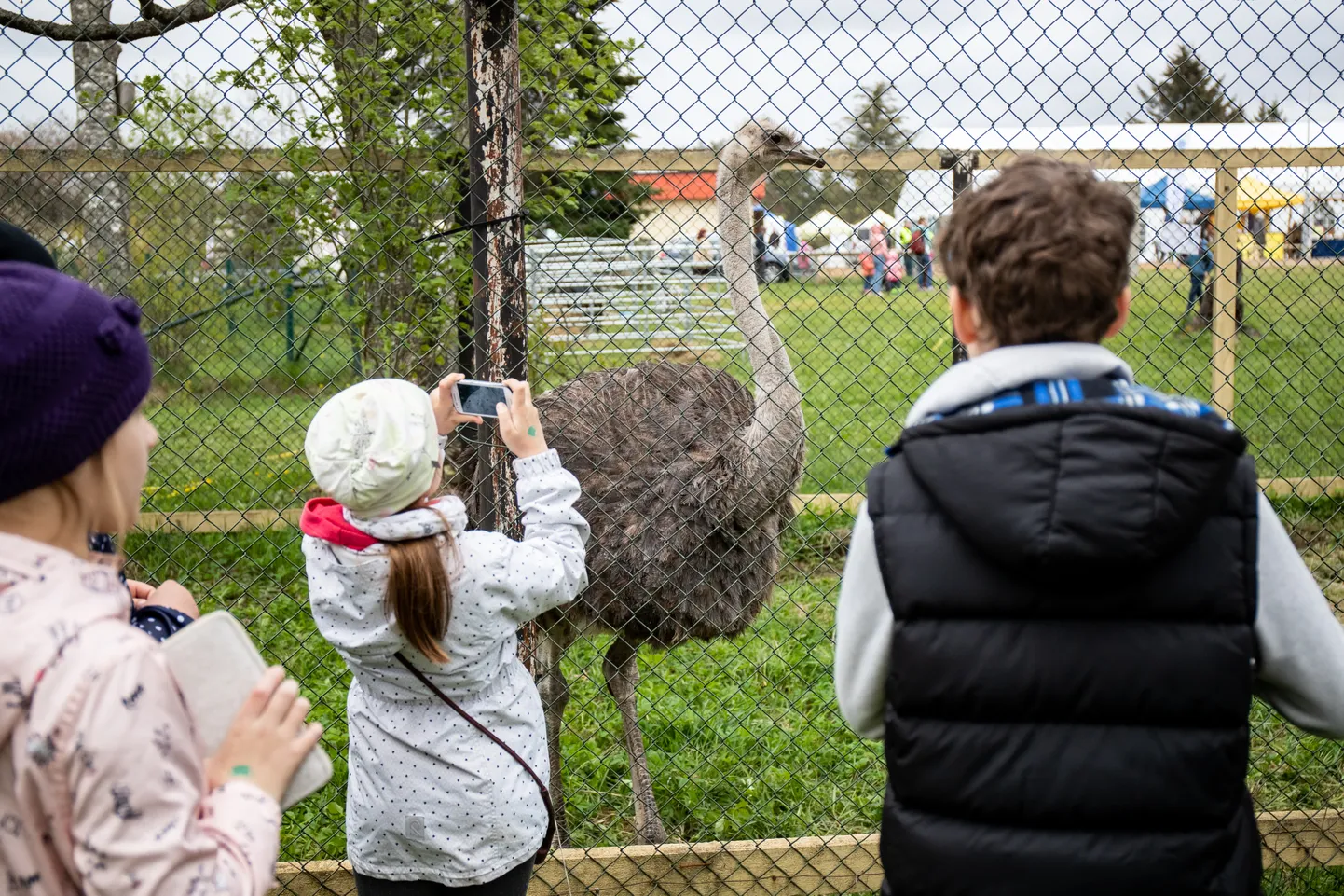 Täna alanud Luige maaelu näituslaat pakub korraldajate sõnul hea võimaluse saada ülevaade Eesti maaelust. Pildil hetk 2019. aasta maikuus toimunud näituslaadalt.