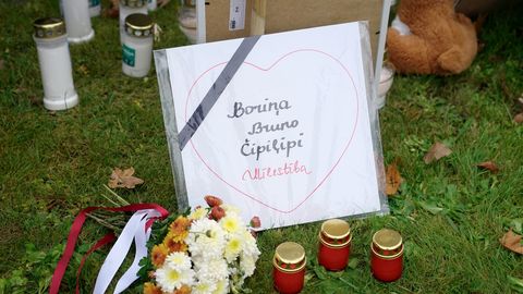 Bauskas novadā nošauto suņu lietā pie kriminālatbildības varētu tikt sauktas četras personas