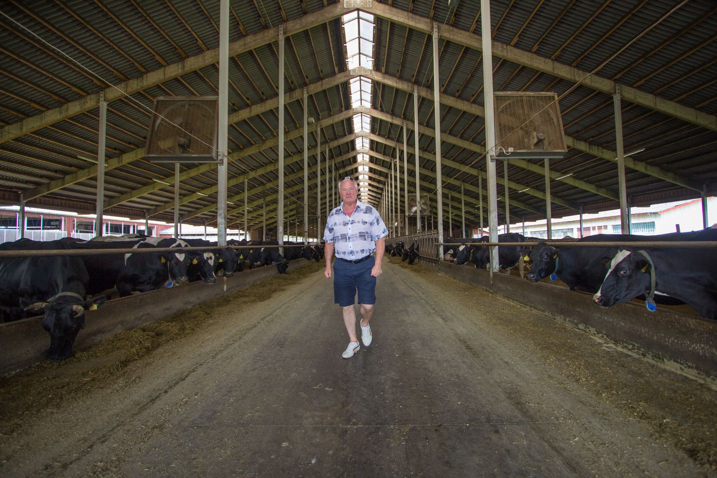 Piimakarja kasvatamisele spetsialiseerunud OÜ Vändra tegevjuht Ilmar Teevet.