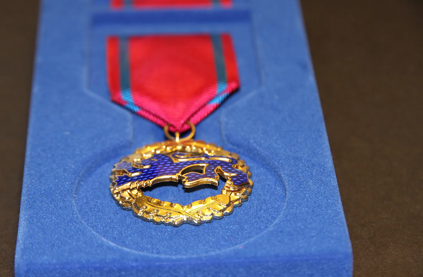 Päästeteenistuse medal.