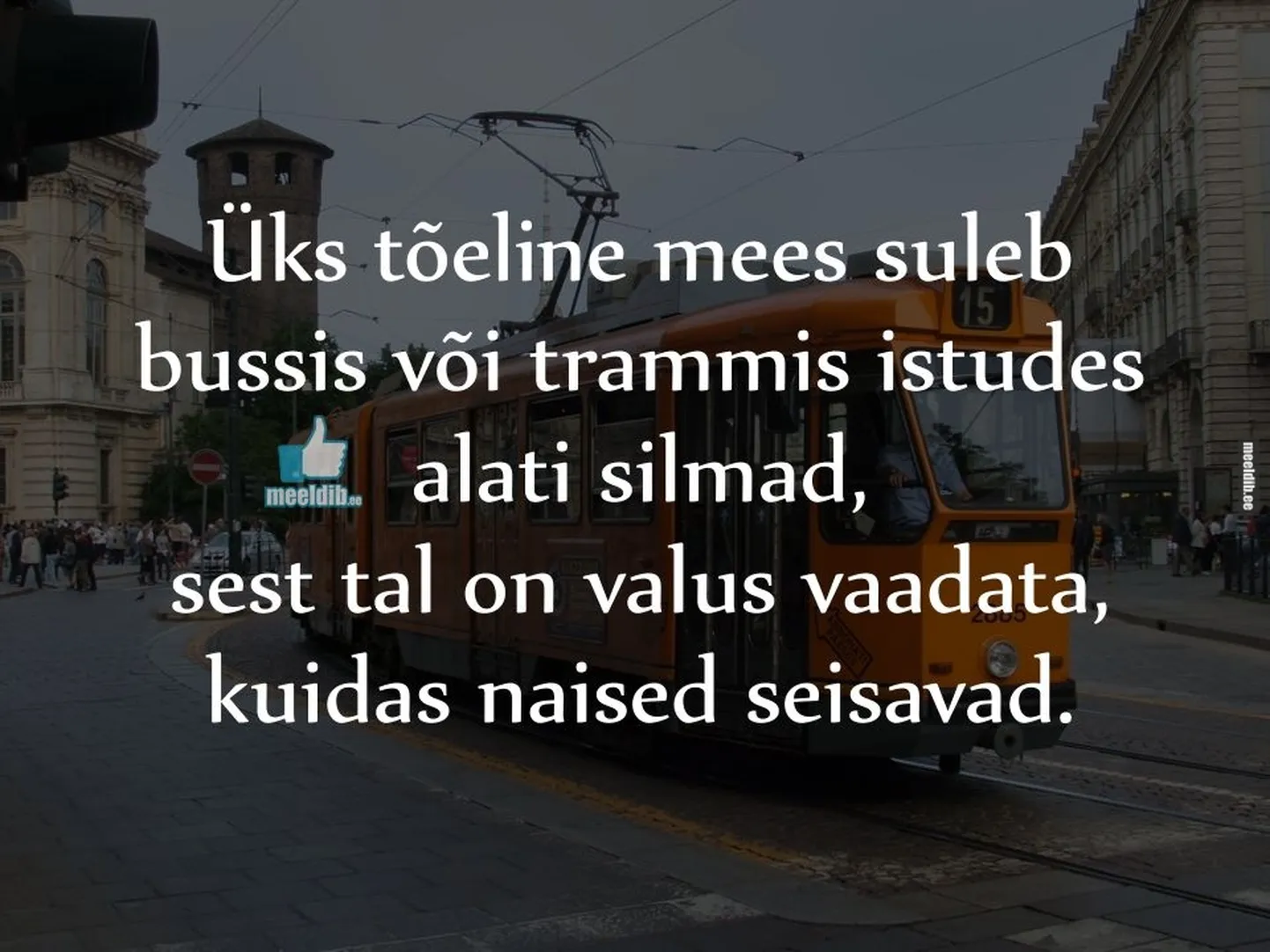 Artikli foto