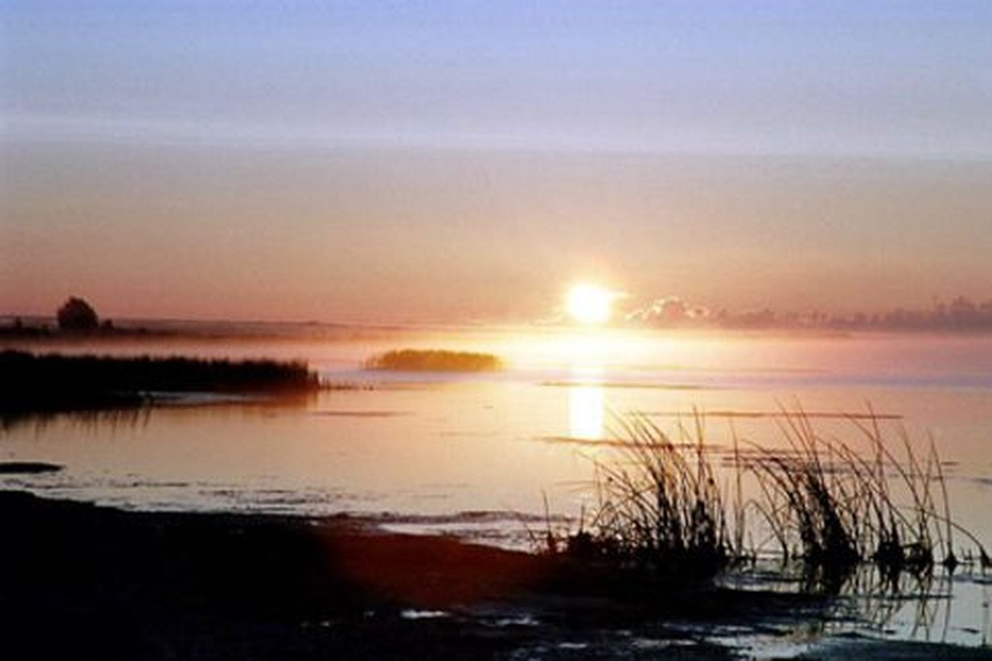 Mändjala rand Saaremaal.