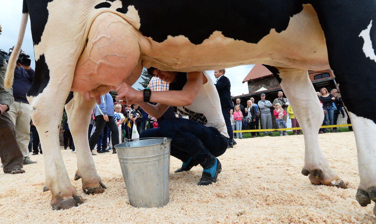 Piimatootjad üle Euroopa ootavad piima kokkuostuhinna tõusu.