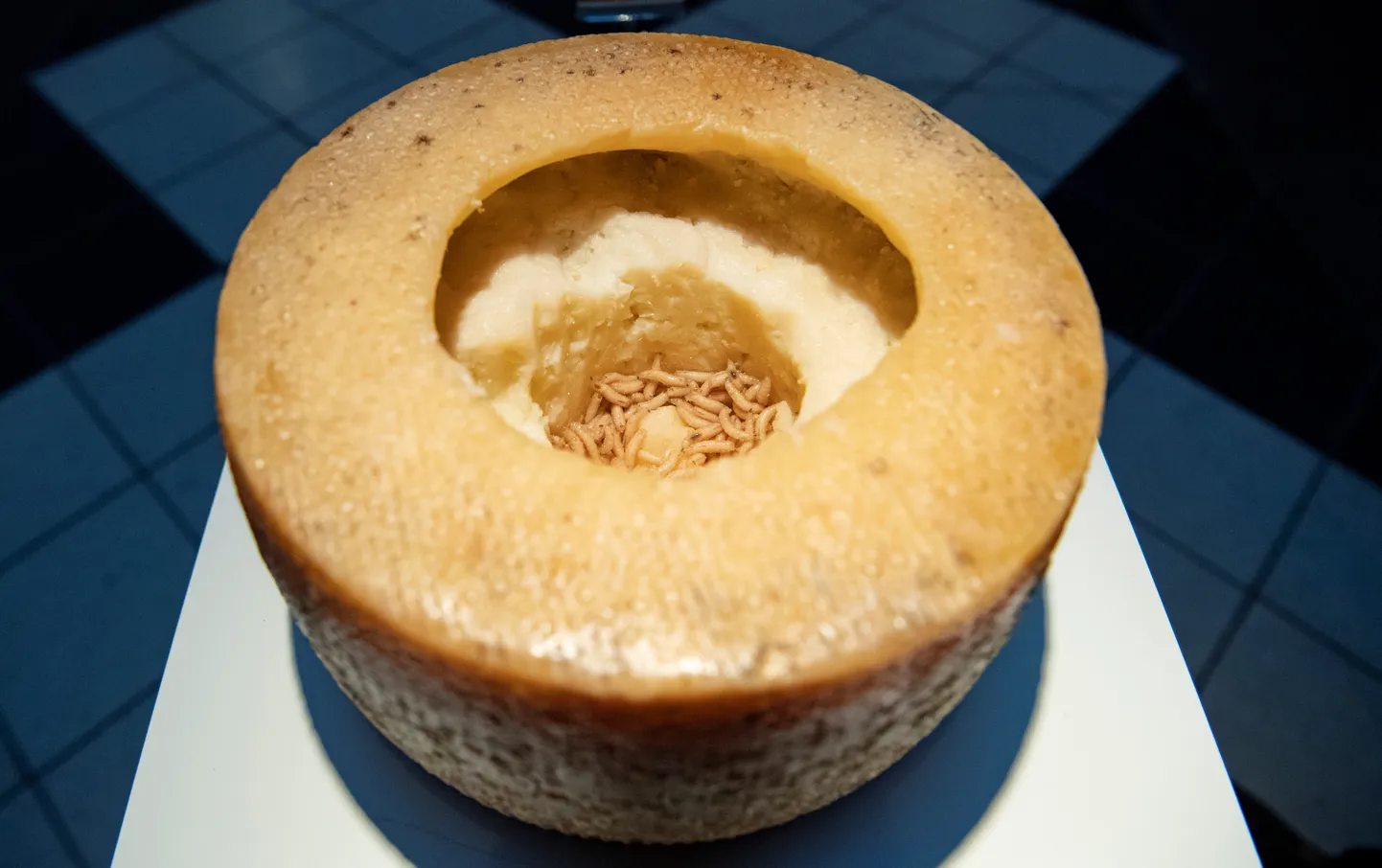 Itaalia Sardiinia saarel toodetav juust casu marzu, mille valmistamisel kasutatakse juustukärbse vaklasid