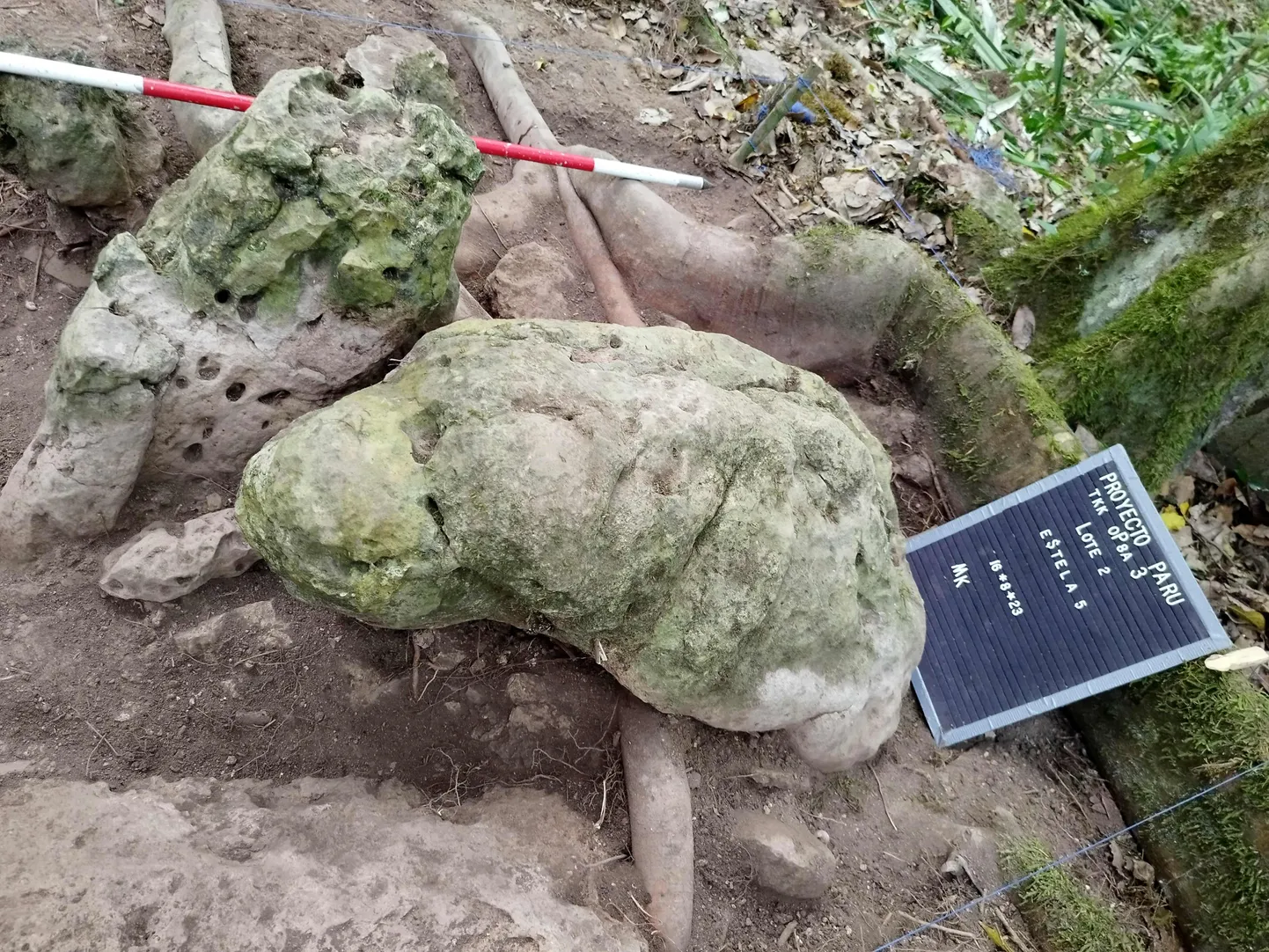 Arheoloogid kaevasid Lõuna-Ameerikas Põhja-Guatemalas Los Abuelos välja ligi 3000 aasta vanuse maiade linna varemed. Pildil antropomorfsed ehk inimesetaolised kujud.