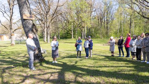 Pajusti tammikusse kavandatakse Vilde teemaparki