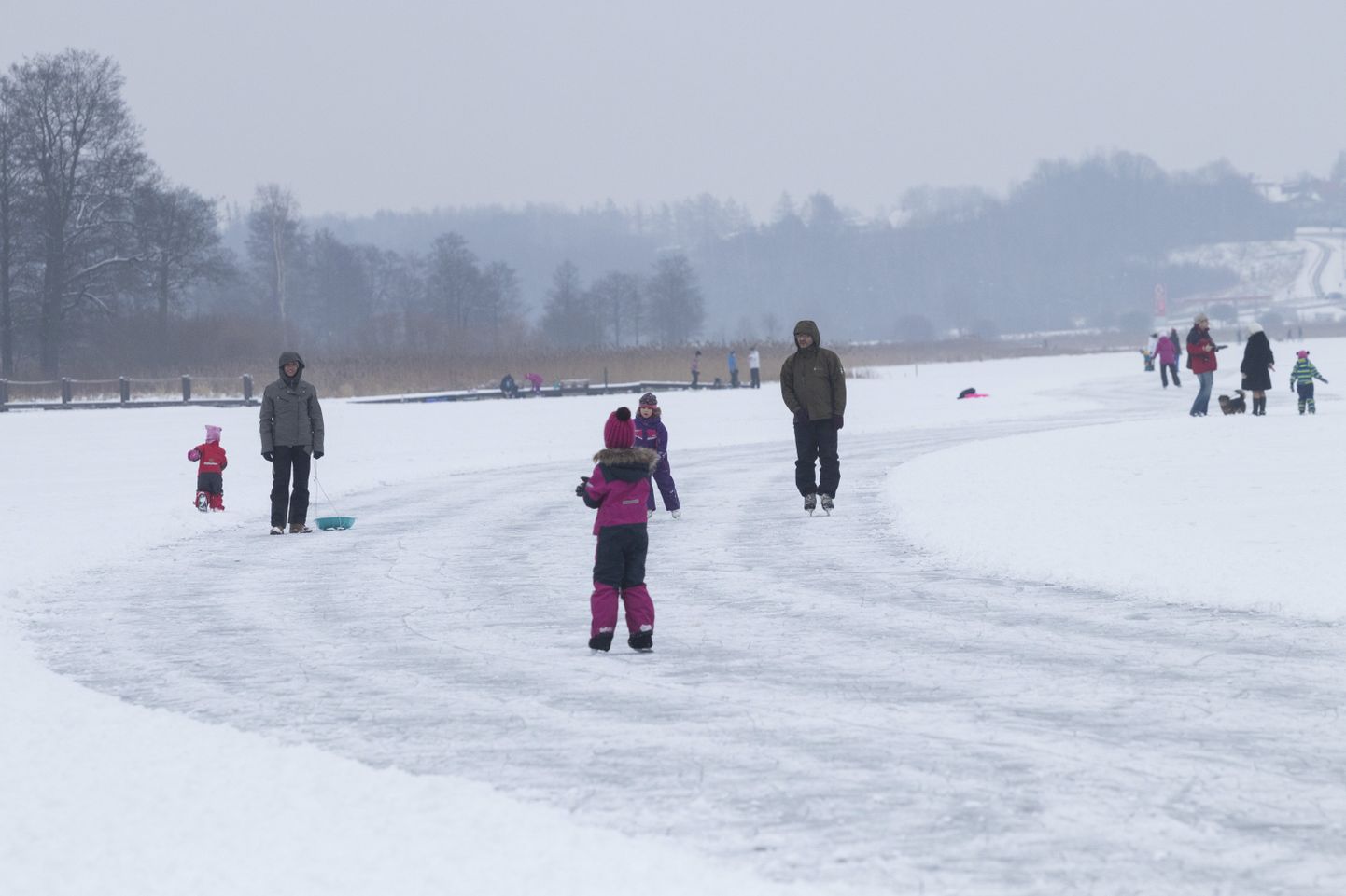 Talvine nädalavahetus kutsus Viljandi järvele suure hulga rahvast. Lisaks uisutamisele ja suusatamisele tunti seal rõõmu kelguga müttamisest või koeraga jalutamisest.
