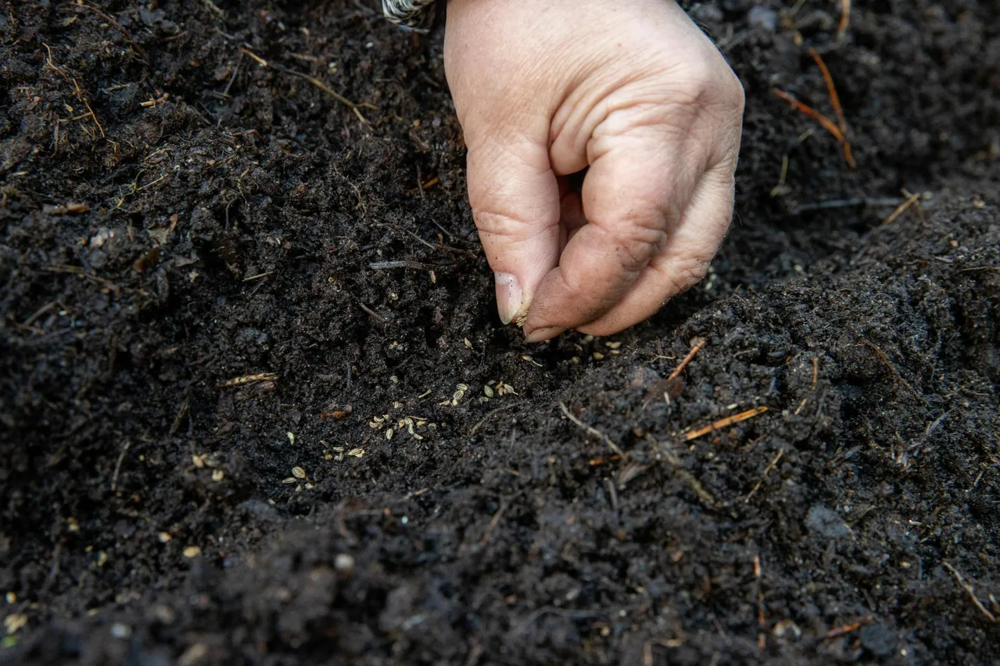 Vahel ikka satutakse seemneid külvates nii hoogu, et pärast pole kõigi taimedega midagi peale hakata. Nõnda otsustaski Põhja-Sakala kultuurikeskus hakata korraldama rohevahetust.