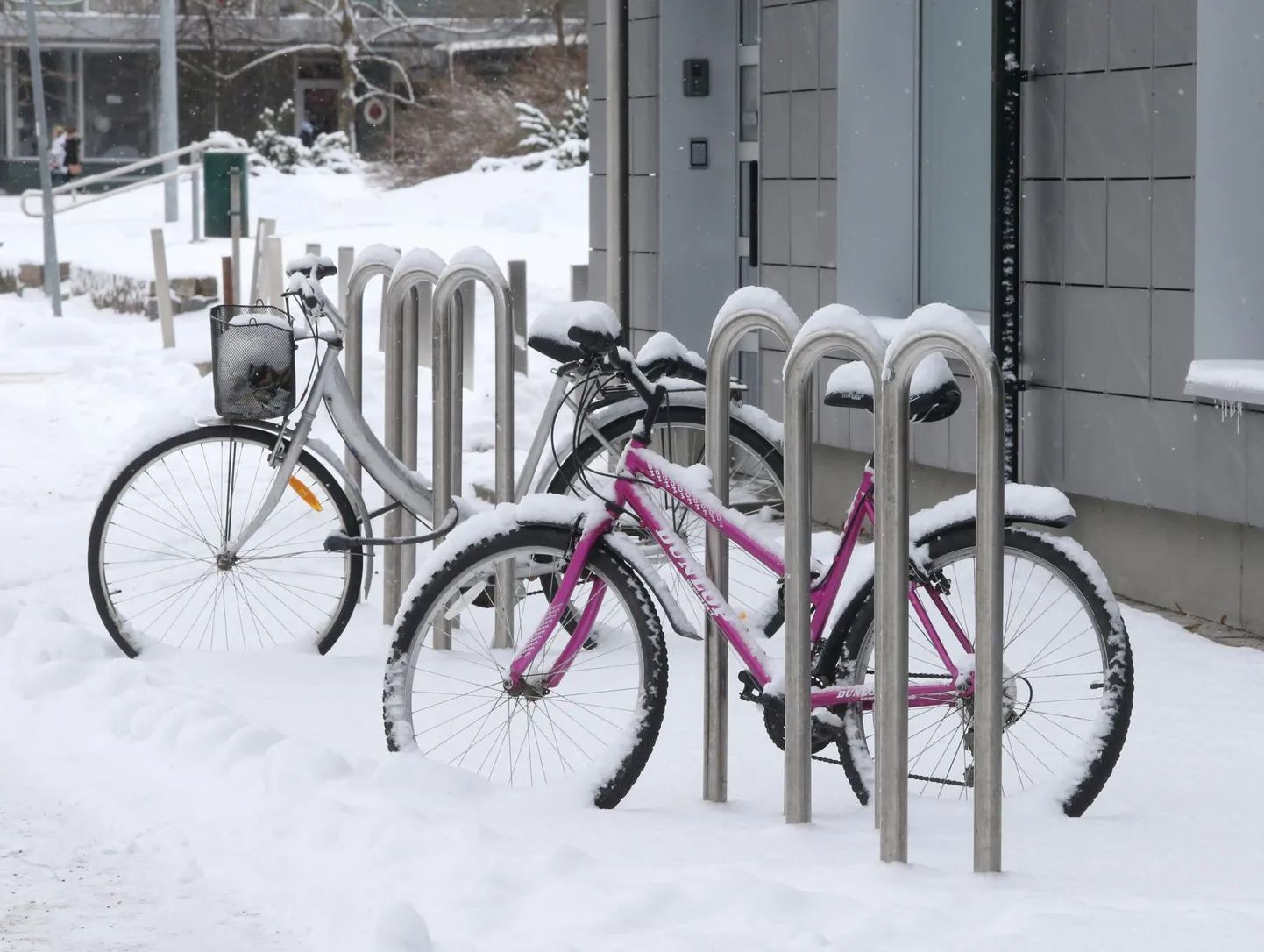 Jalgrattad lumises linnas.