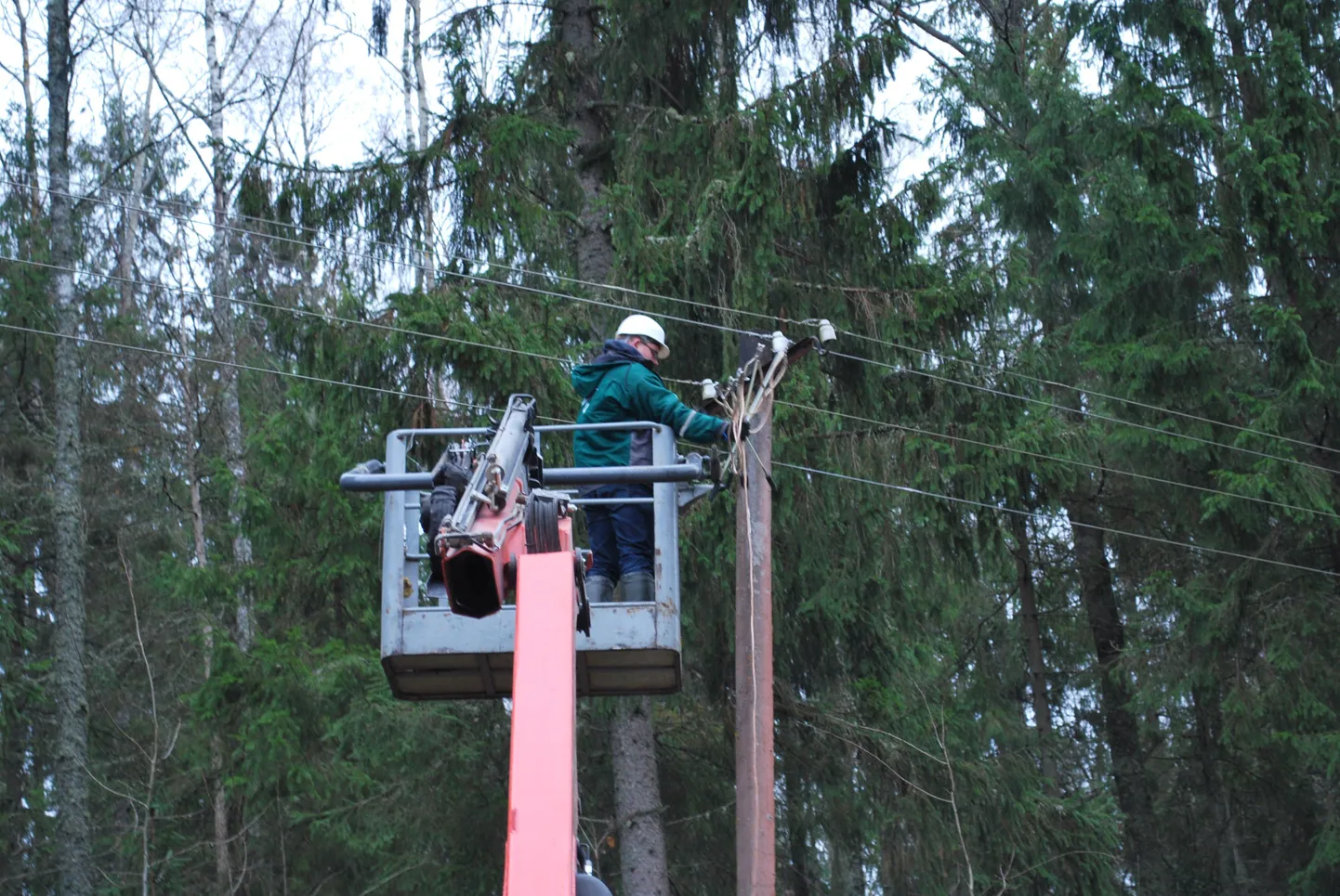 Elektrilevi parandas tormijärgseid kahjustusi.