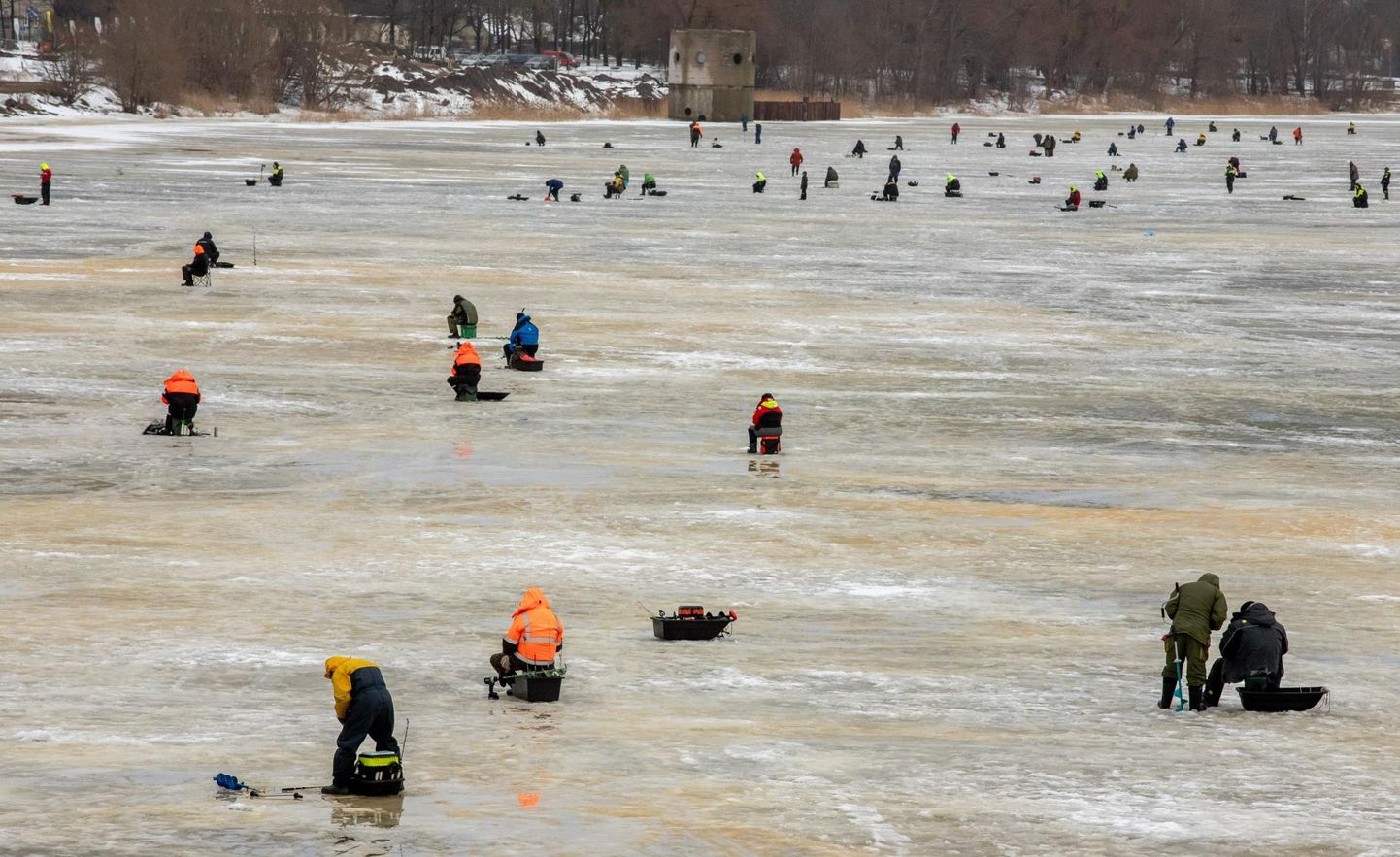Pärnu jõe jää on kesklinnas olnud viimastel päevadel populaarne kalapüügiareen: päeval proovib jäässe puuritud aukude ümber õnne mitukümmend kalameest.