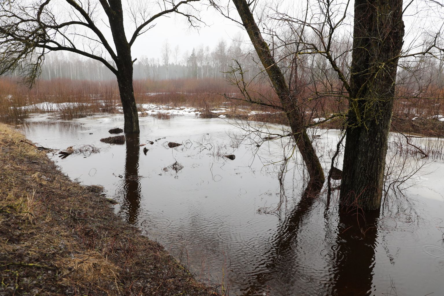 Pavasara palu laikā no krastiem izgājusi Misas upe, applūdinot plašas teritorijas Ķekavas novadā.