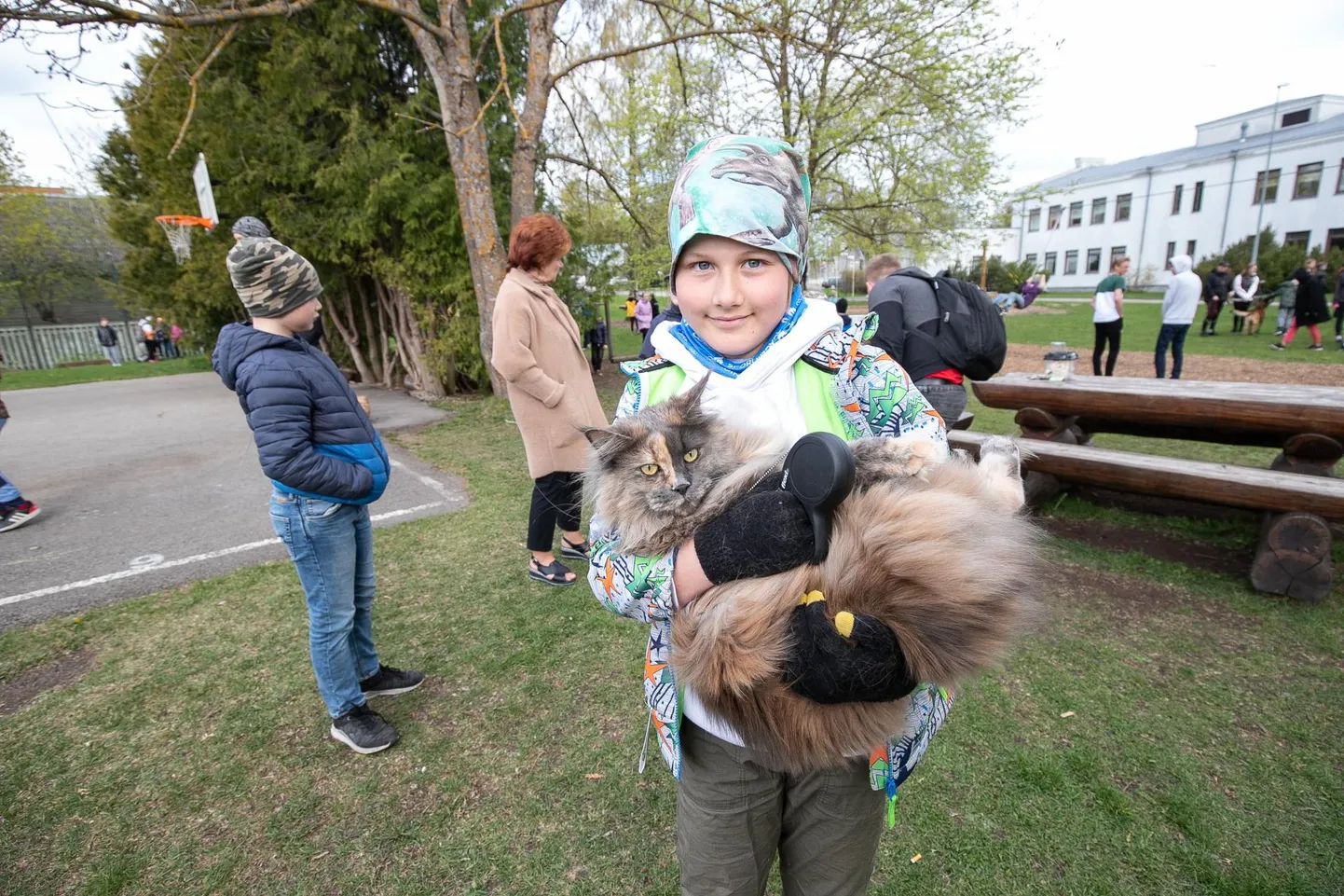 Kass Astridi esimene koolipäev.