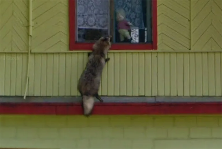 Google Maps Street View jäädvustus